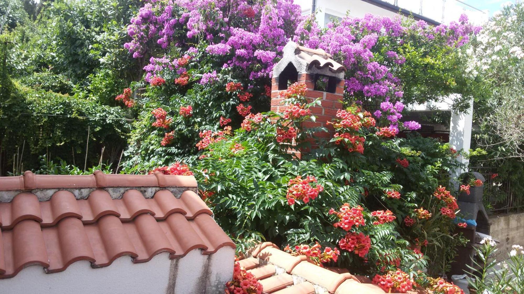 Apartments Salona Trogir Bilik gambar